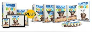 brain training for dogs